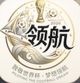 领航国际