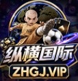 纵横国际